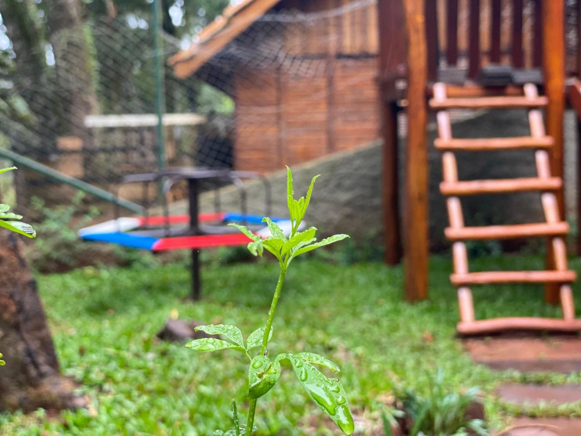 Сasa de vacaciones Casa Da Flor Com Lareira