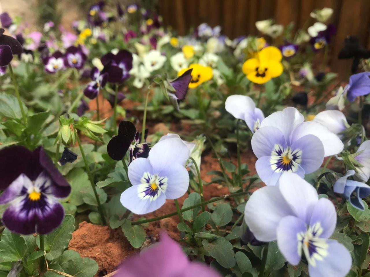 Casa Da Flor Com Lareira Сasa de vacaciones *